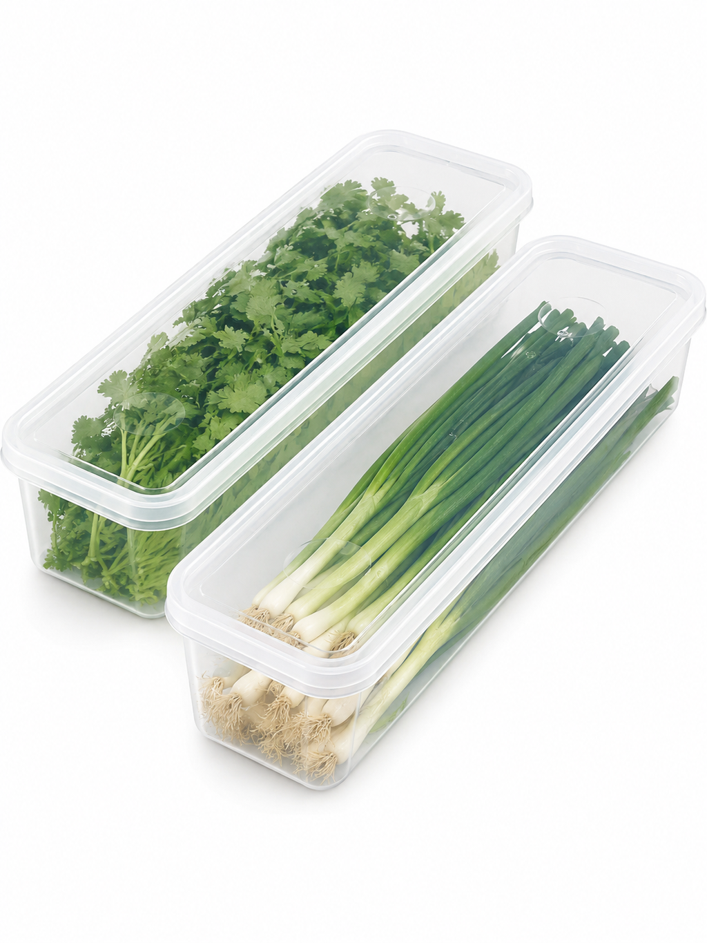 2-Pack | ClearHerb Keeper Storage Box – Airtight Refrigerator Container for Cilantro, Green Onions & Fresh Herbs | BPA-Free