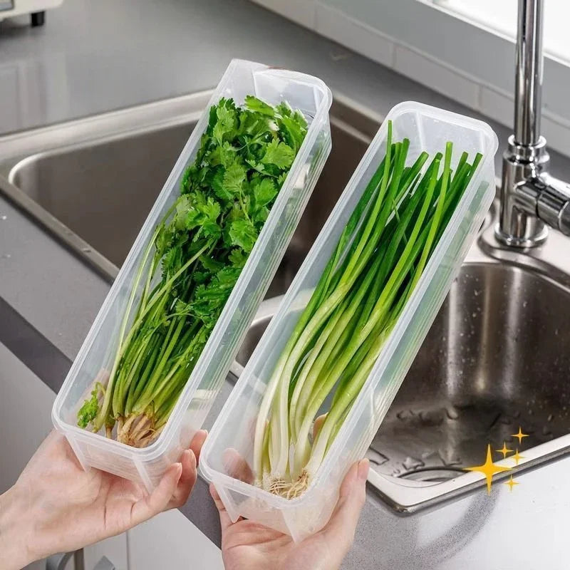 Cilantro & Green Onion Storage Box – Airtight Refrigerator Herb Keeper Container