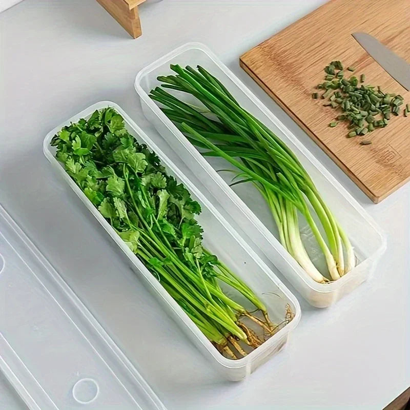 View of Cilantro & Green Onion Storage Box – Airtight Refrigerator Herb