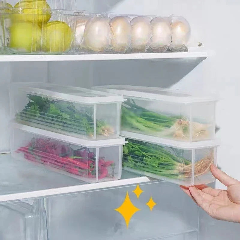 Cilantro & Green Onion Storage Box – Airtight Refrigerator Herb Keeper Container