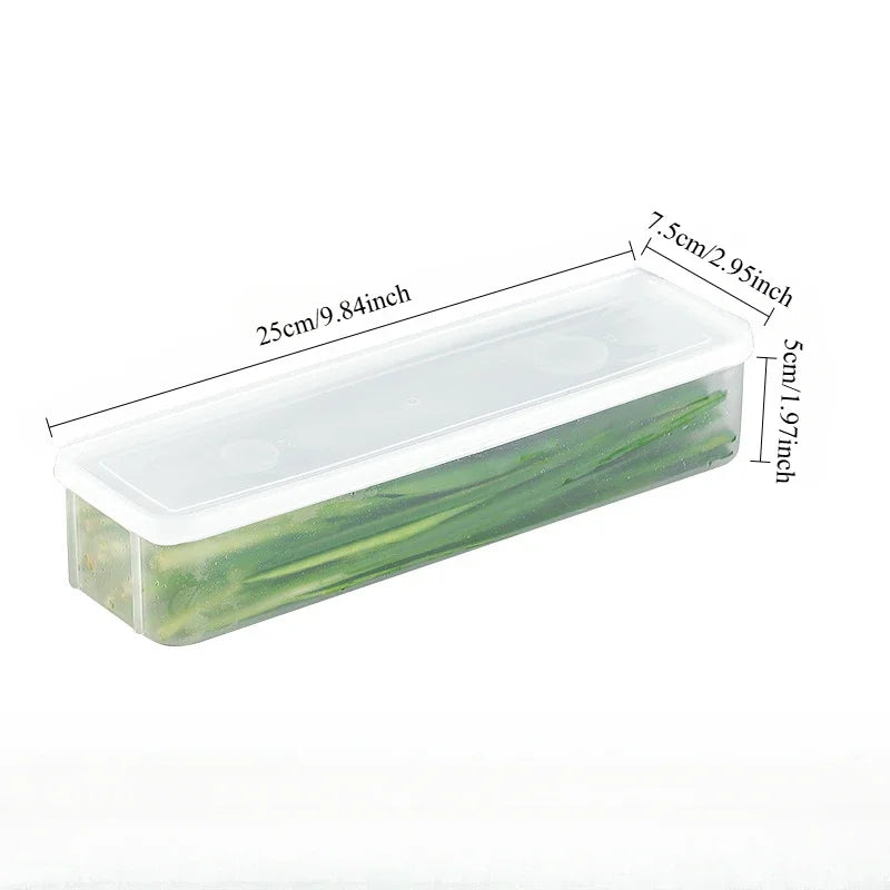 Cilantro & Green Onion Storage Box – Airtight Refrigerator Herb Keeper Container