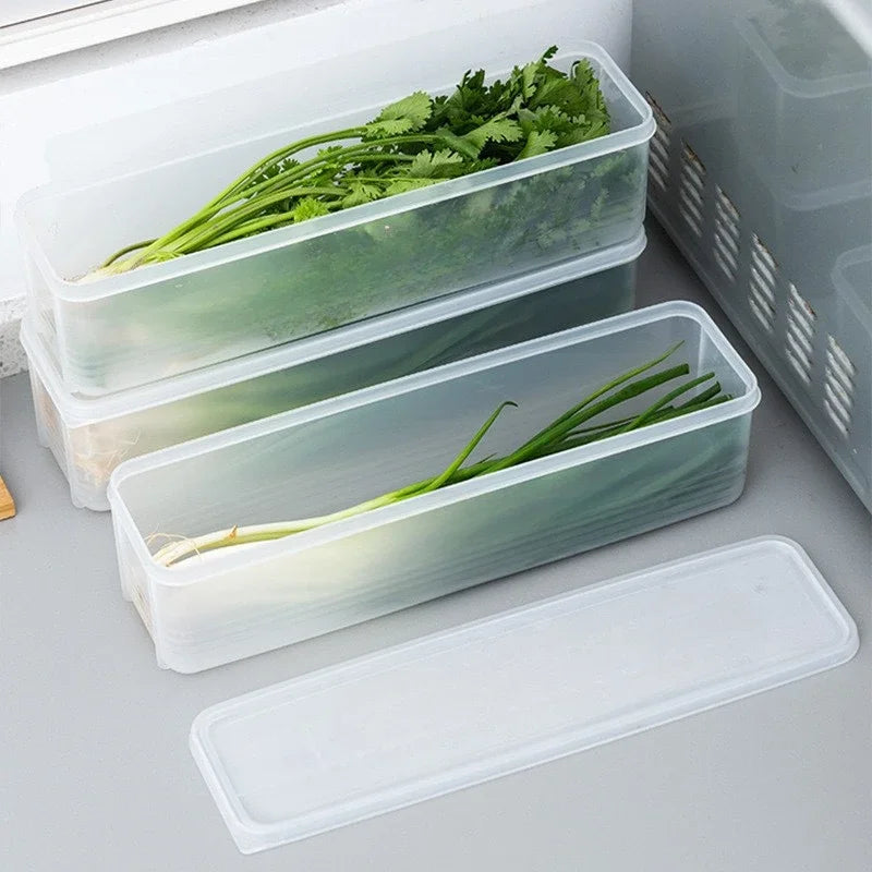 Cilantro & Green Onion Storage Box – Airtight Refrigerator Herb Keeper Container